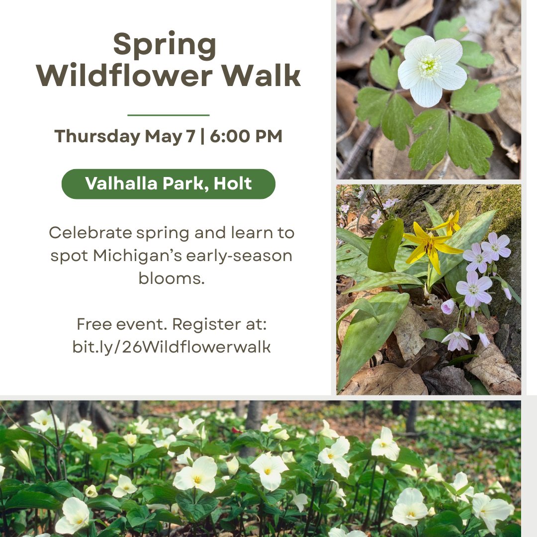 Wildflower Walk @ VALHALLA PARK